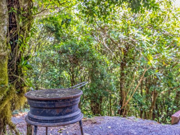 Cantos Del Bosque Monteverde Exterior foto